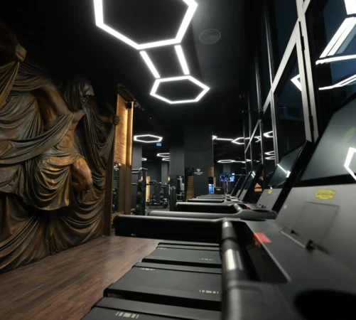 Revolution Gym Tirane, ALBANIA (55)